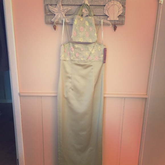 DE-LARU PROM/EVENING DRESS - Picture 1 of 4